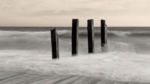 I’m a pro photographer, and the best photo I took this month was shot on my Google Pixel 8 Pro, using a feature iPhone owners would give their right arm for