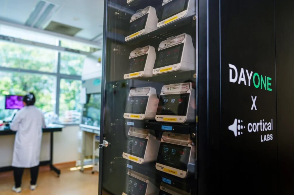 Singapore Switches On Biological Computing Rack With Living Human Neurons