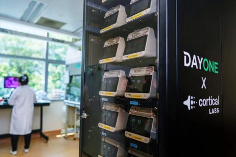 Singapore Switches On Biological Computing Rack With Living Human Neurons