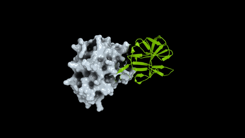 NVIDIA Releases Viral Protein Dataset and BioNeMo Pipeline