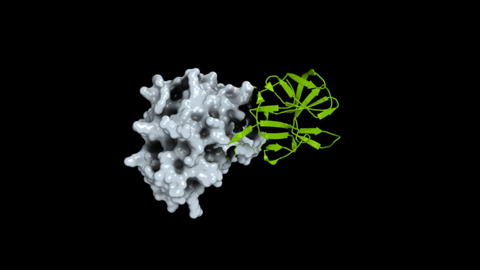 NVIDIA Releases Viral Protein Dataset and BioNeMo Pipeline