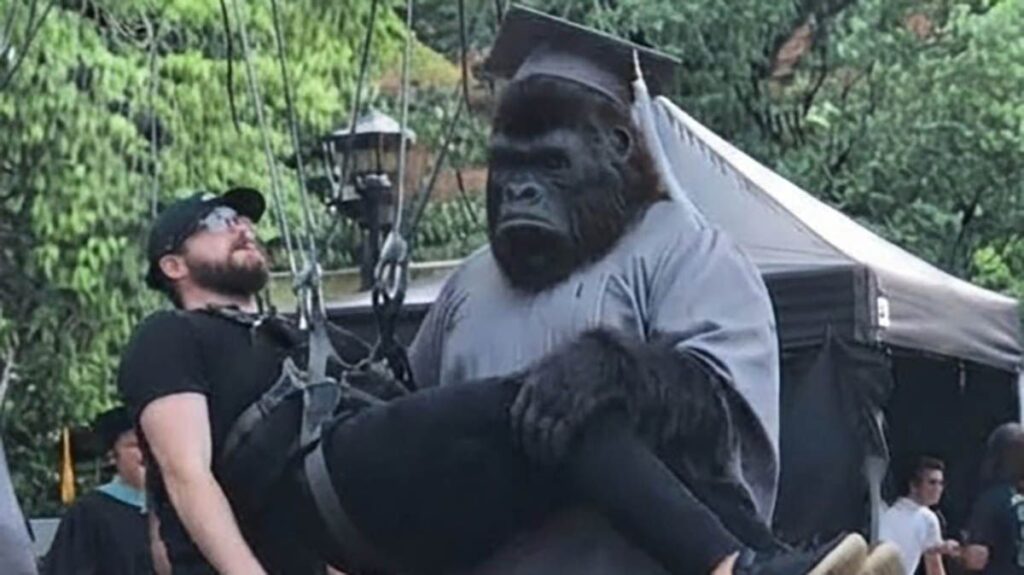 Superman spin-off show The People v Gorilla Grodd reveals absurd first look at the titular ape — and DC fans are calling on James Gunn to keep his ‘George of the Jungle’ form