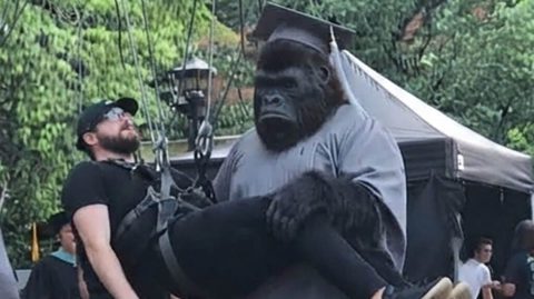 Superman spin-off show The People v Gorilla Grodd reveals absurd first look at the titular ape — and DC fans are calling on James Gunn to keep his ‘George of the Jungle’ form
