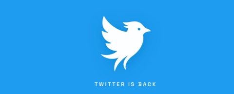 A Startup Brought Back ‘Twitter’ — Now X Is Suing