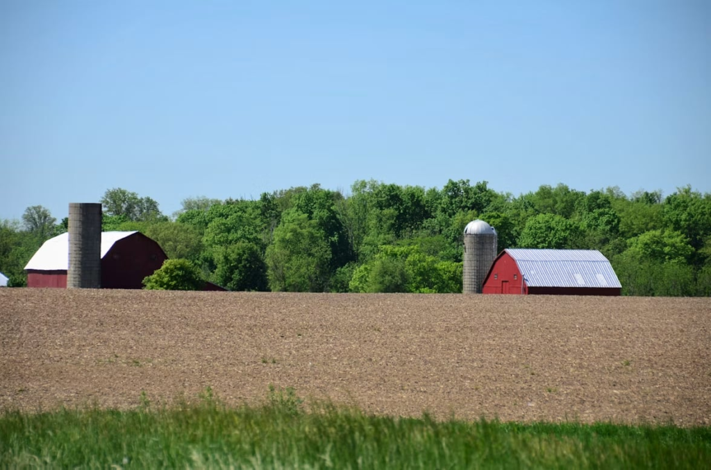 A Farmer Trusted AI’s Advice. It Cost Him 25 Acres of Crops