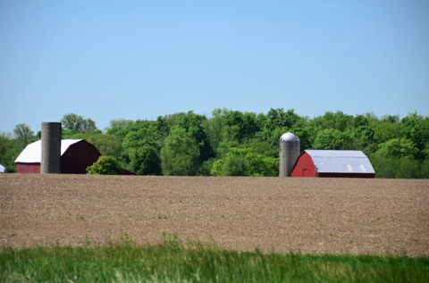 A Farmer Trusted AI’s Advice. It Cost Him 25 Acres of Crops