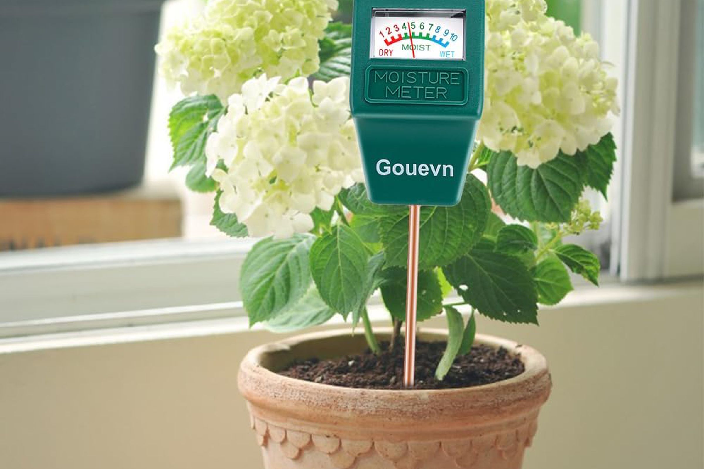 Green moisture meter stuck in the soil of a potted plant.