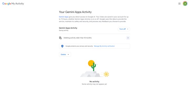 The Gemini Advanced Activity screen you're looking for