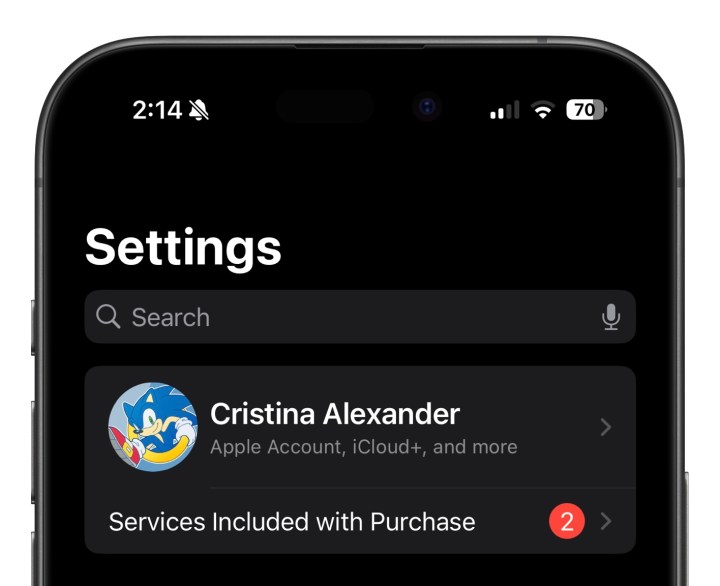 iCloud tab in Settings for iOS 18.