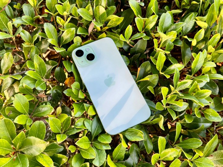 iphone 15 first impressions 4 things i love green bush