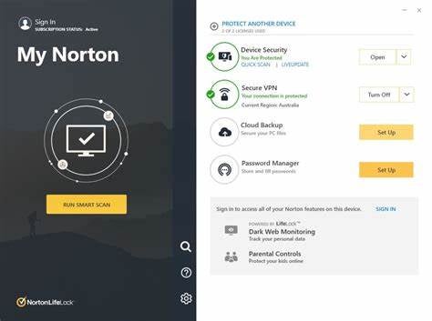 Norton Options include cloud backup and a password manager.