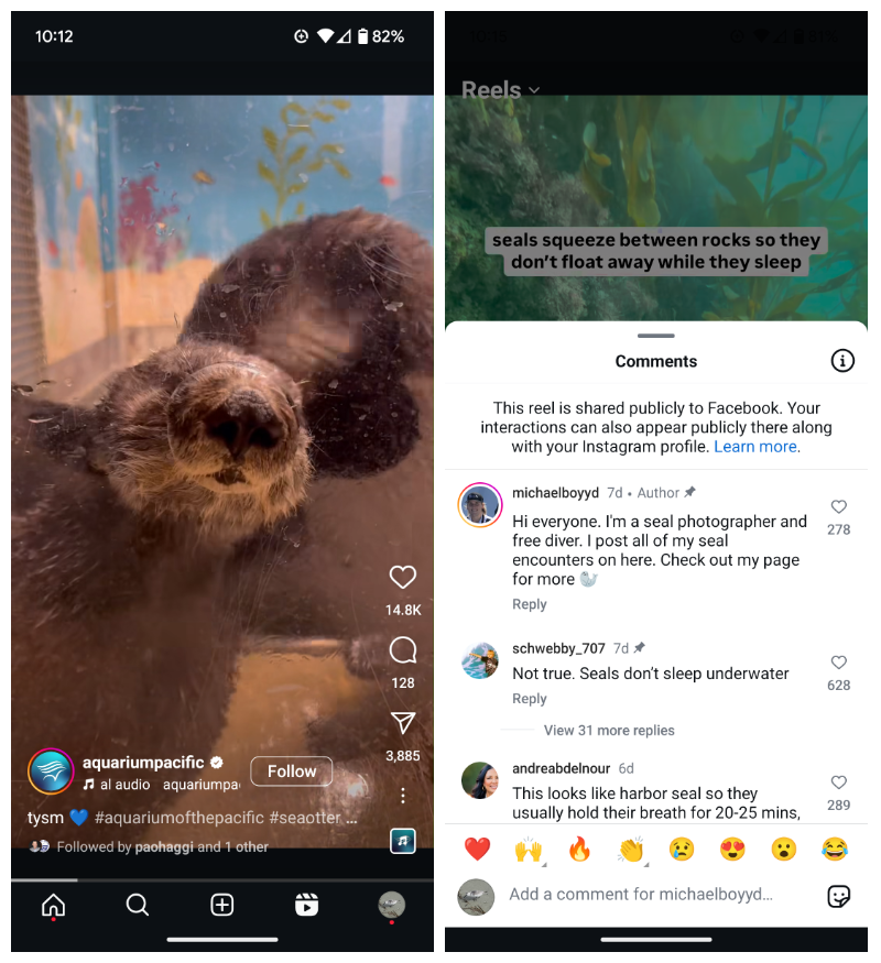 Two screenshots, the left showing an otter poking its nose through a hole in a window, the right showing comments.