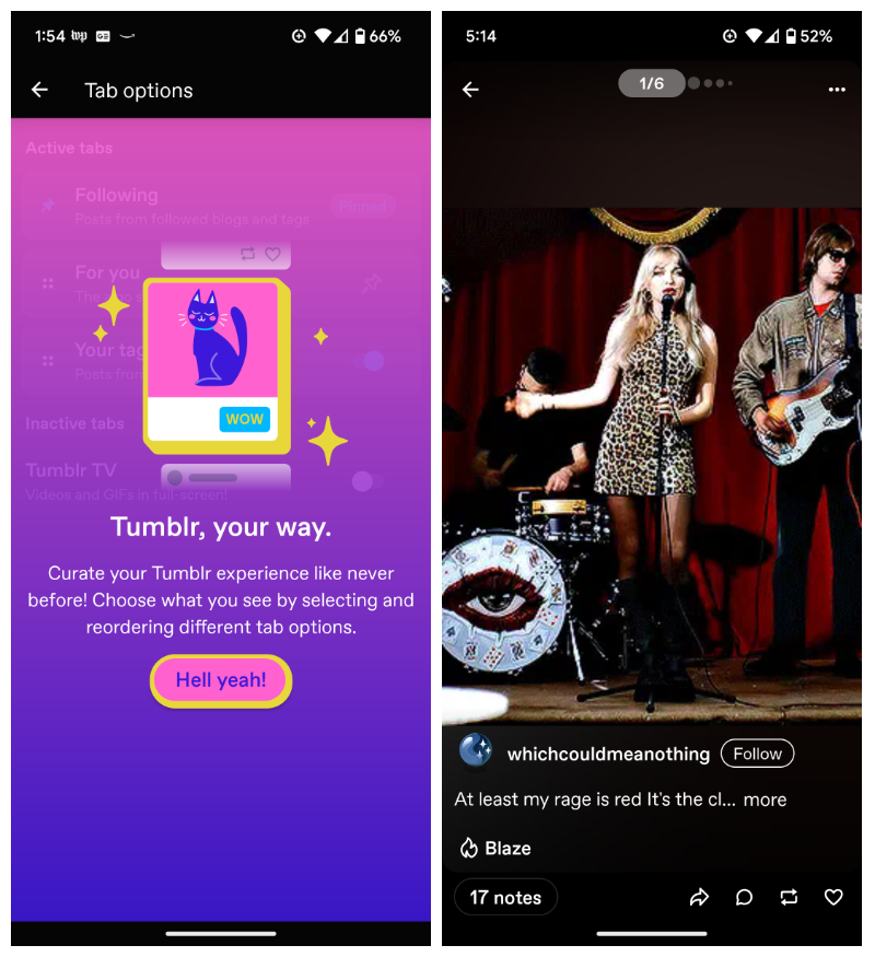 two screen shots, one a purple background with a graphic of a phone showing a cat and text “Tumblr, your way” and the second showing a singer in a leopard-print dress