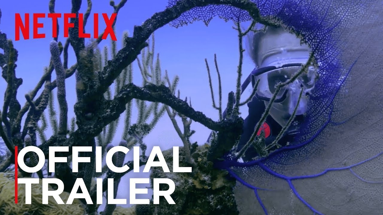 Chasing Coral | Official Trailer [HD] | Netflix - YouTube