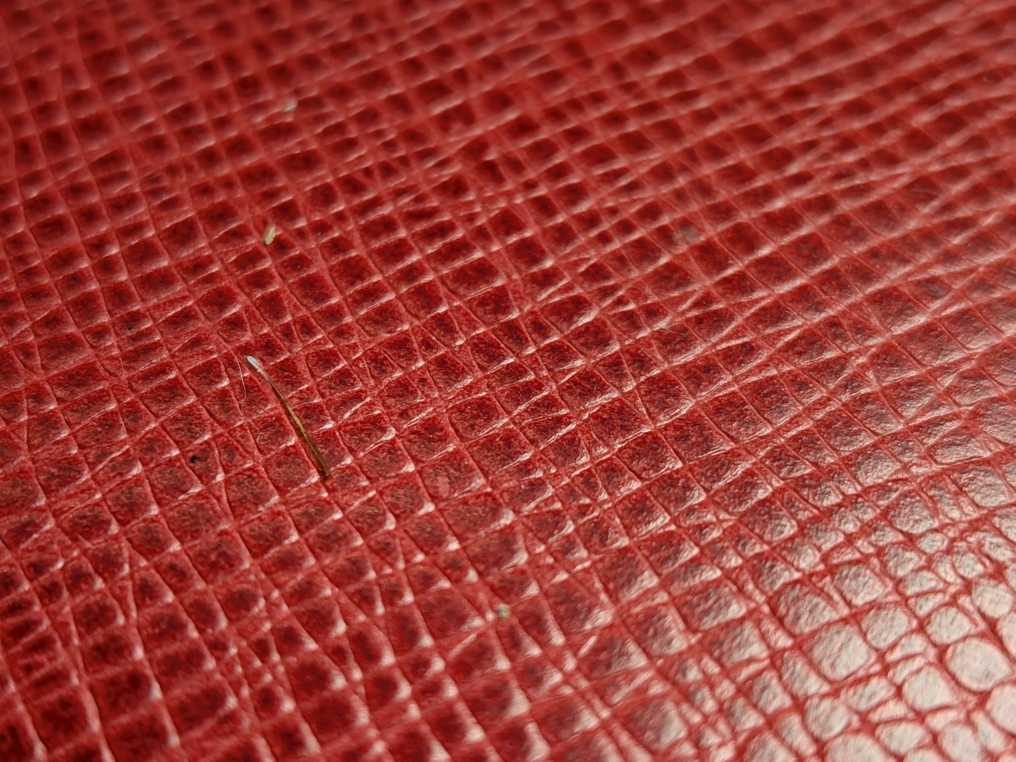 Photo samples taken with the Google Pixel 9a