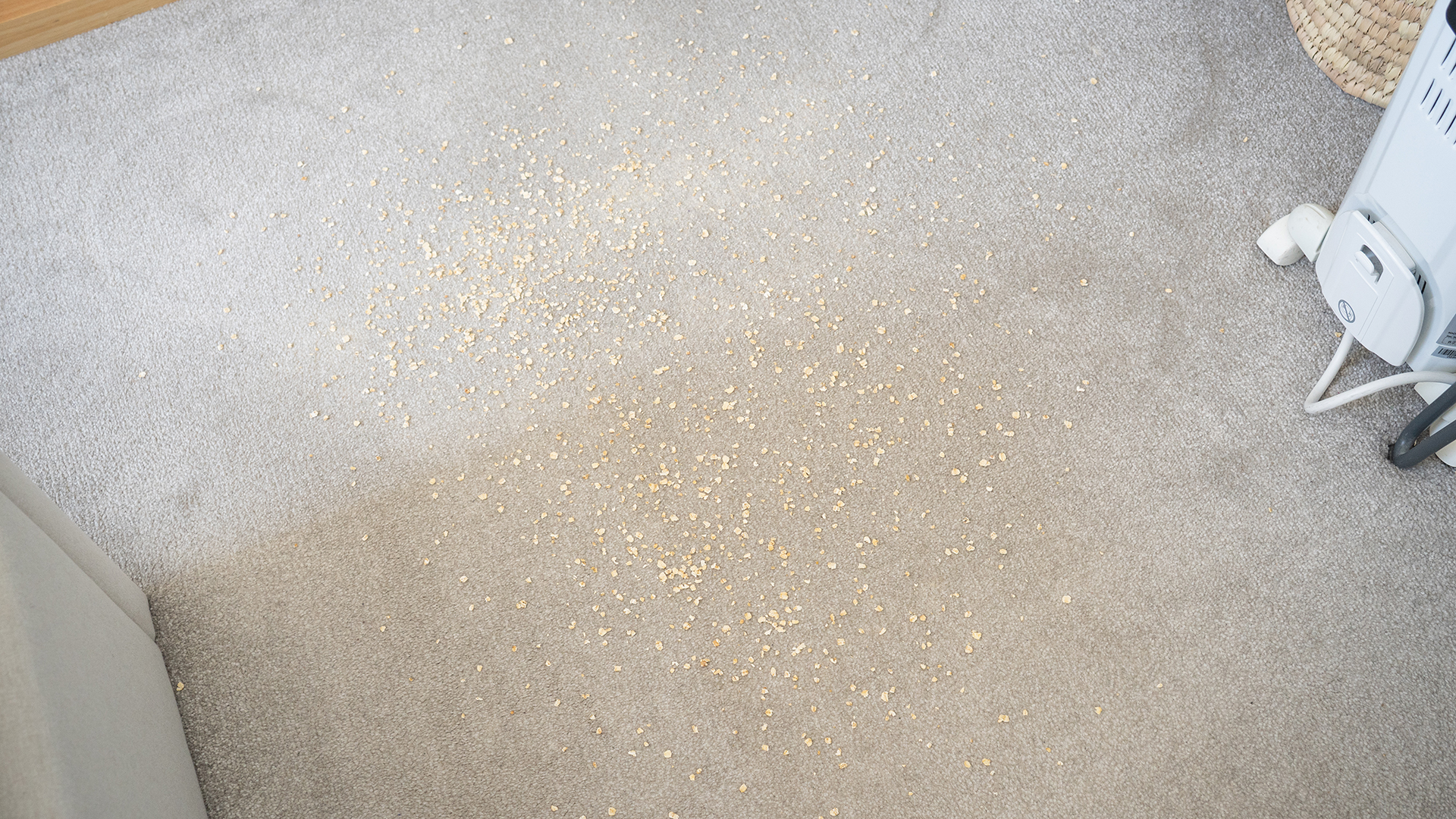 Oats on a carpet before the vacuuming test