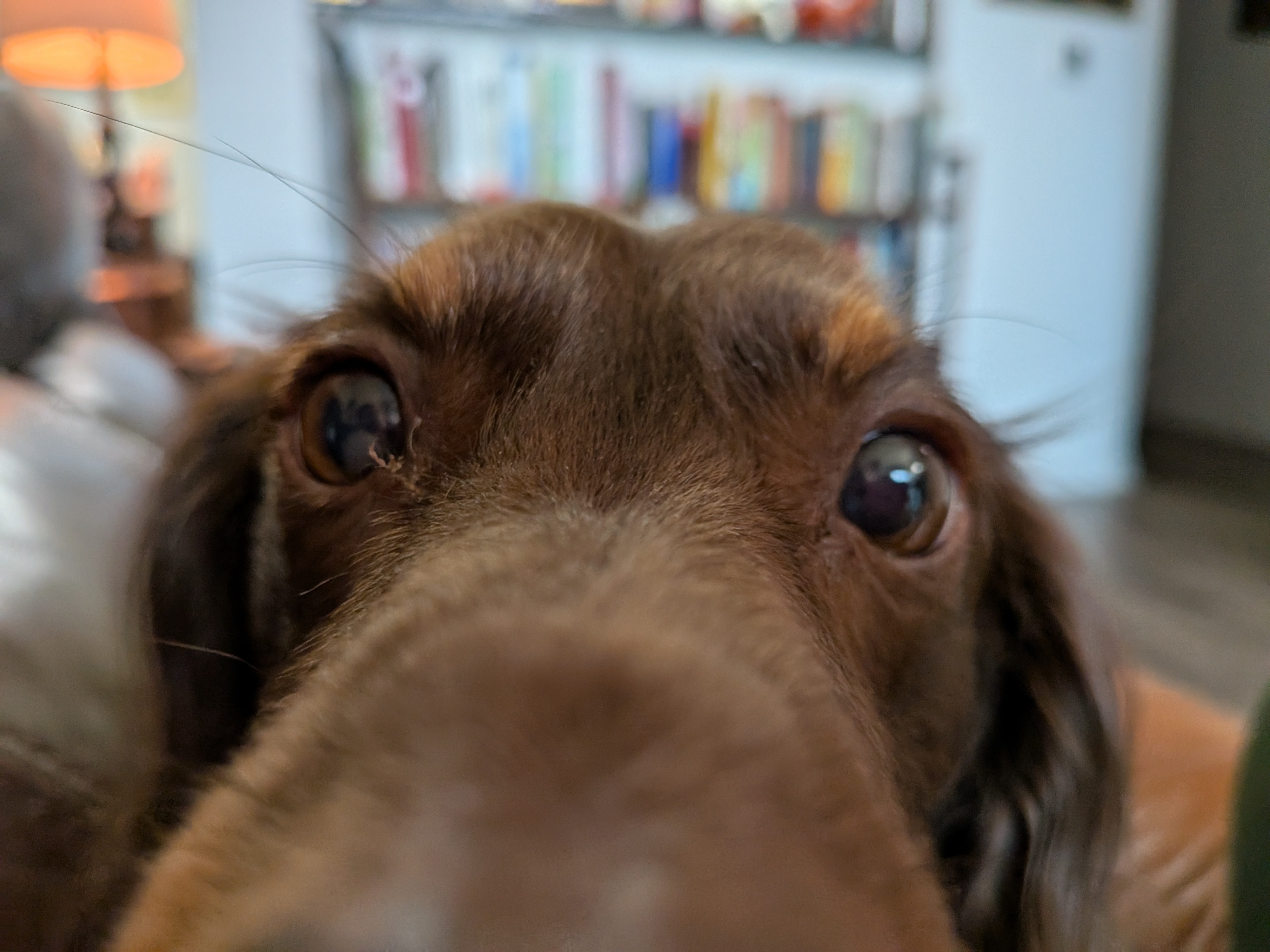 Photo samples taken with the Google Pixel 9a