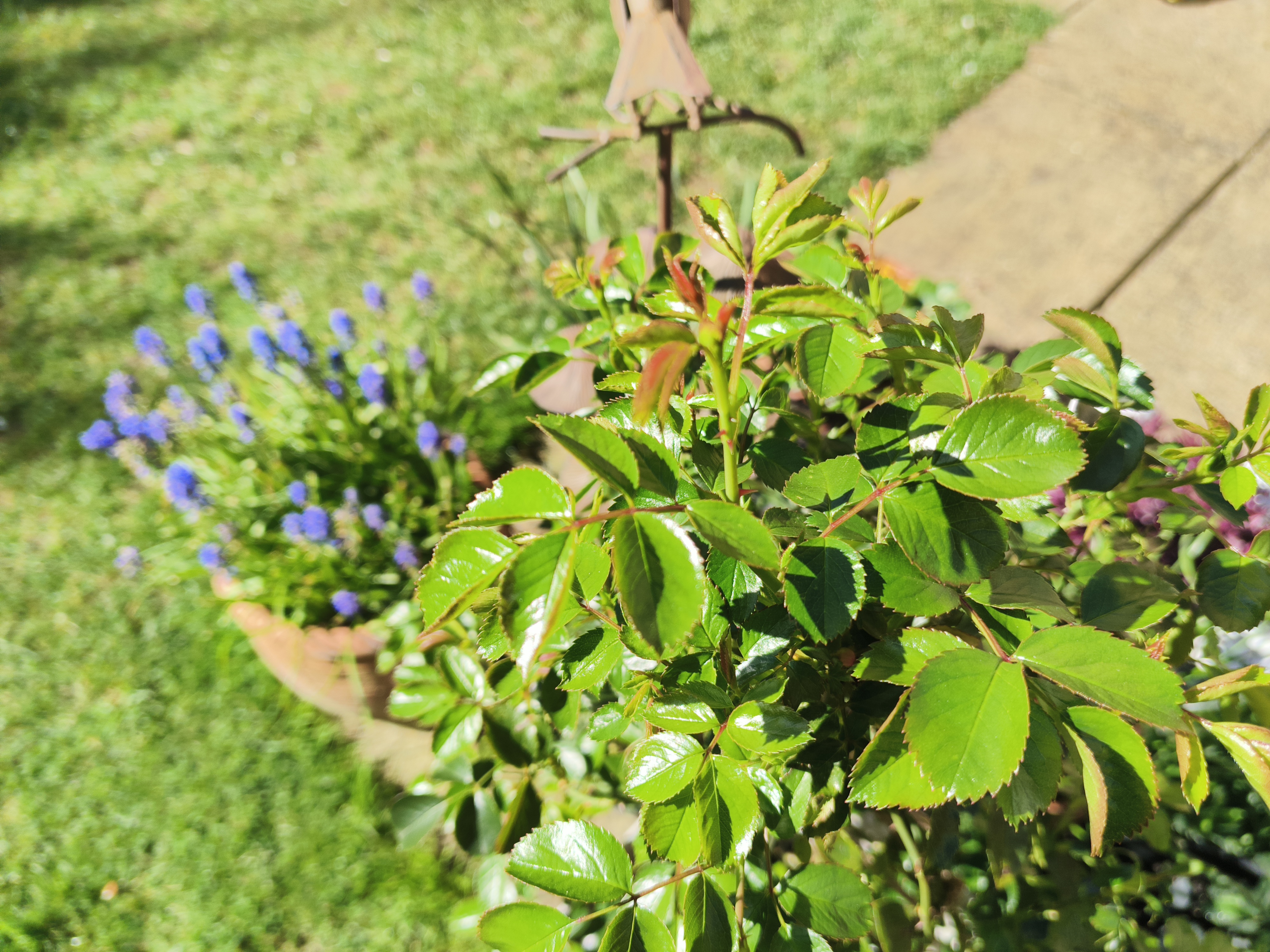 Example pictures taken with Oukitel WP200 Pro
