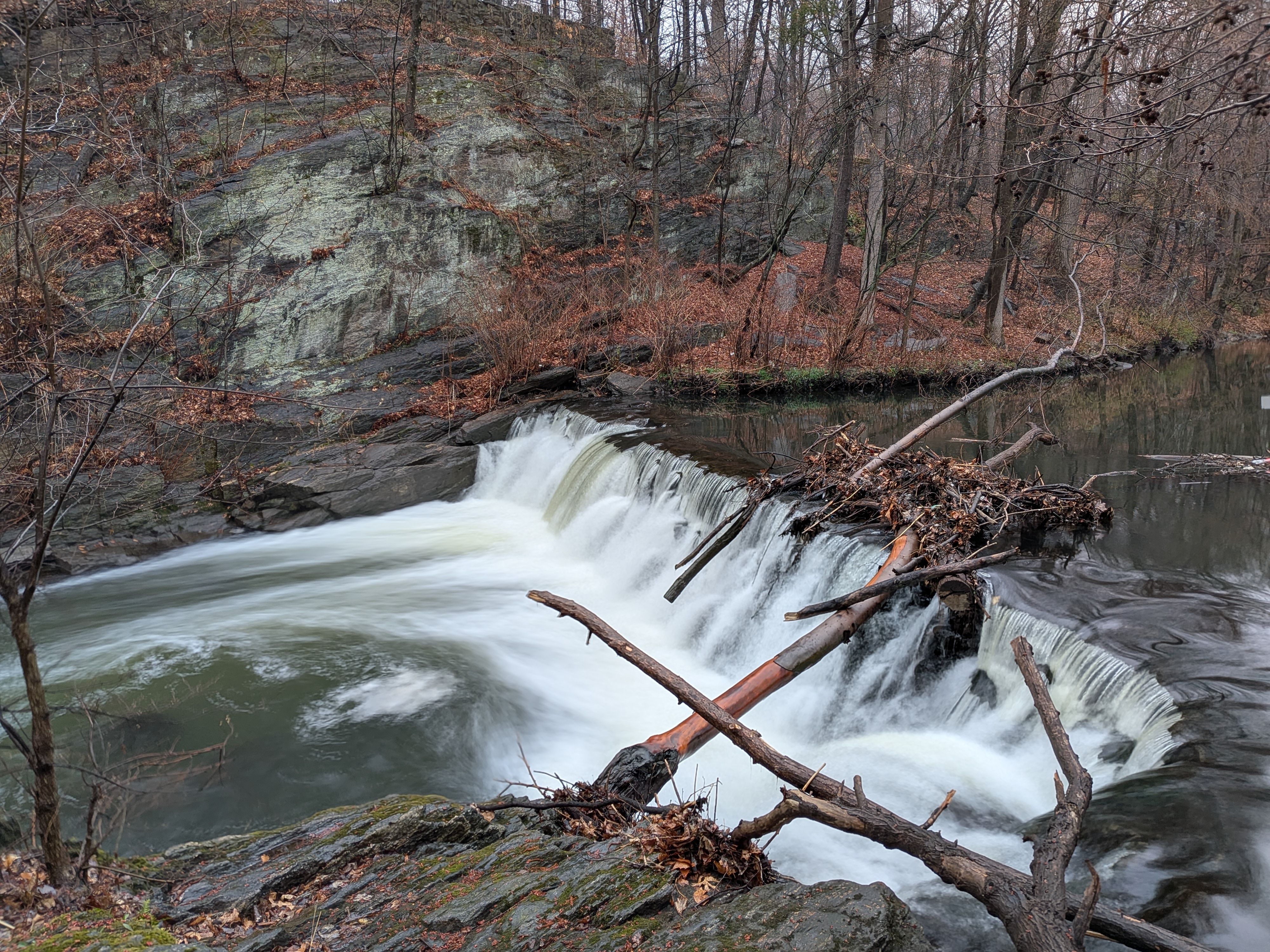 Photo samples taken with the Google Pixel 9a