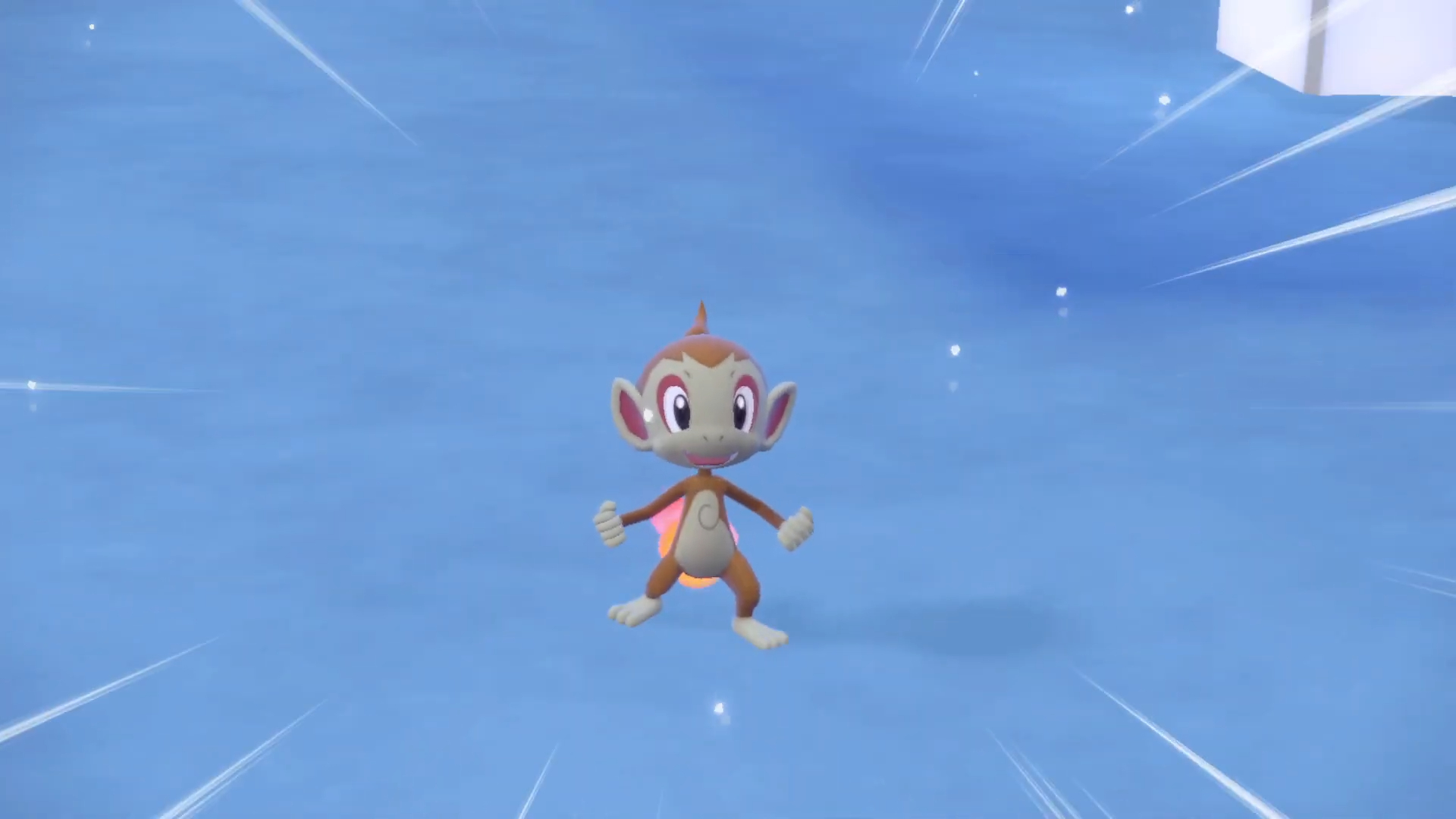 Chimchar striking a pose in Pokémon.