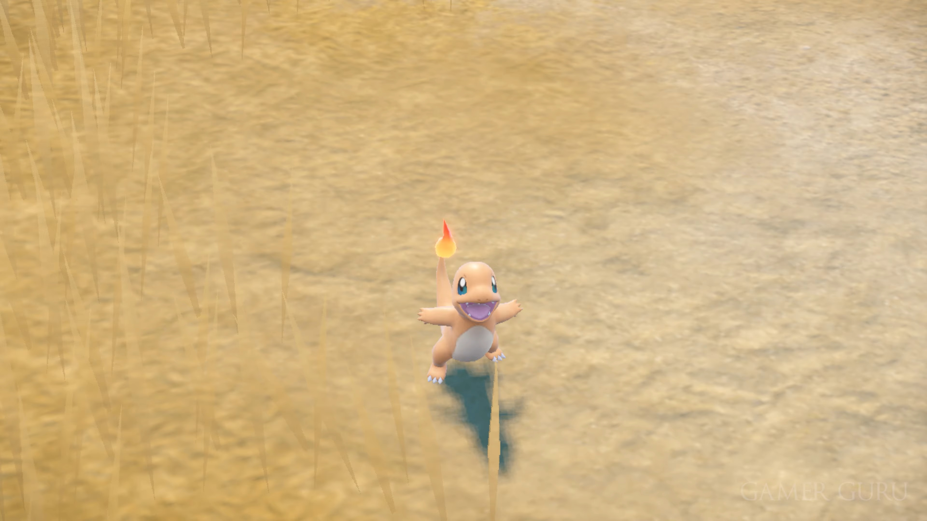 Charmander shouting in a dead field in Pokémon.