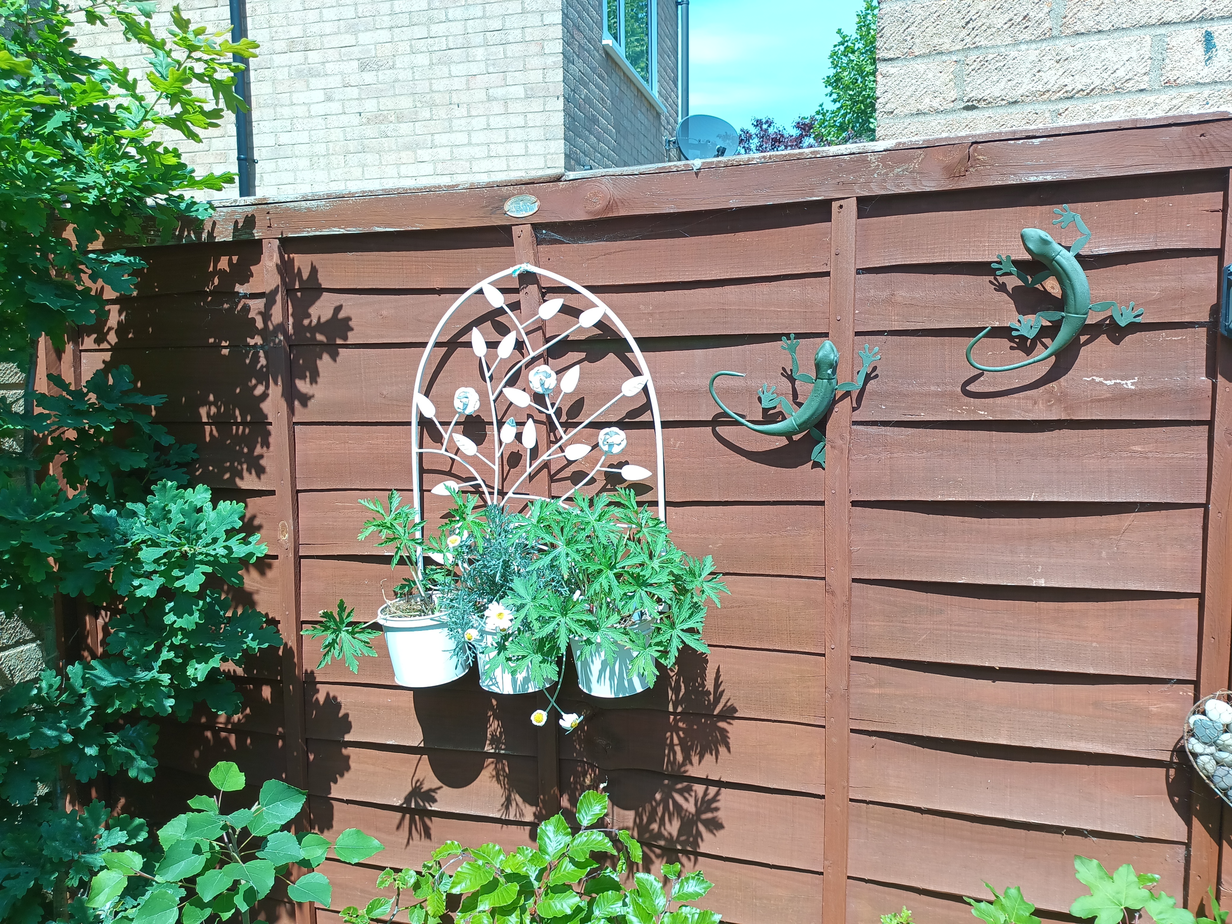 Example images from the Oukitel WP300