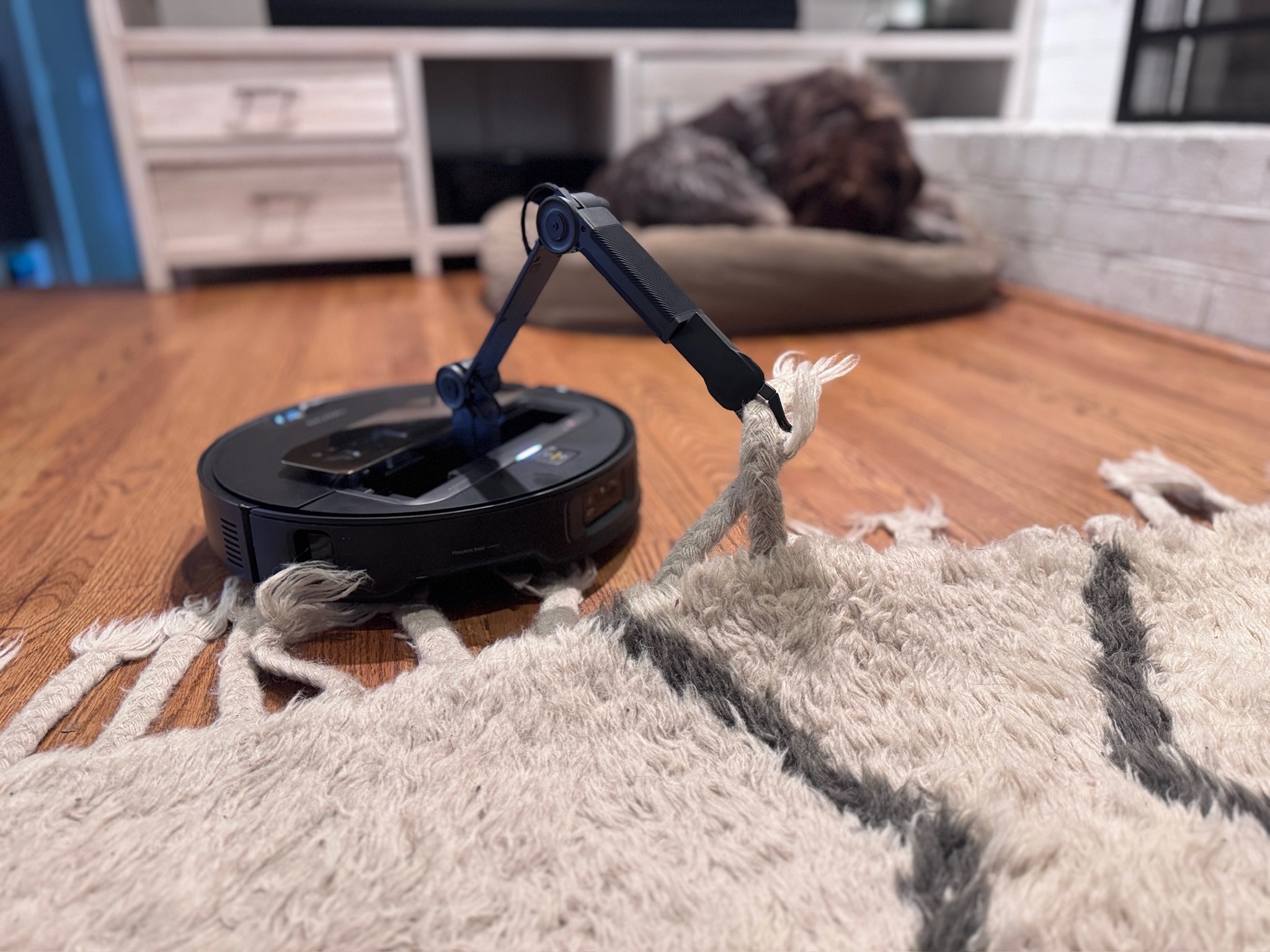 The Z70 identified rug tassels as socks, but let go once it realized they were too heavy. I was also able to flag this in the app as something not to pick up.