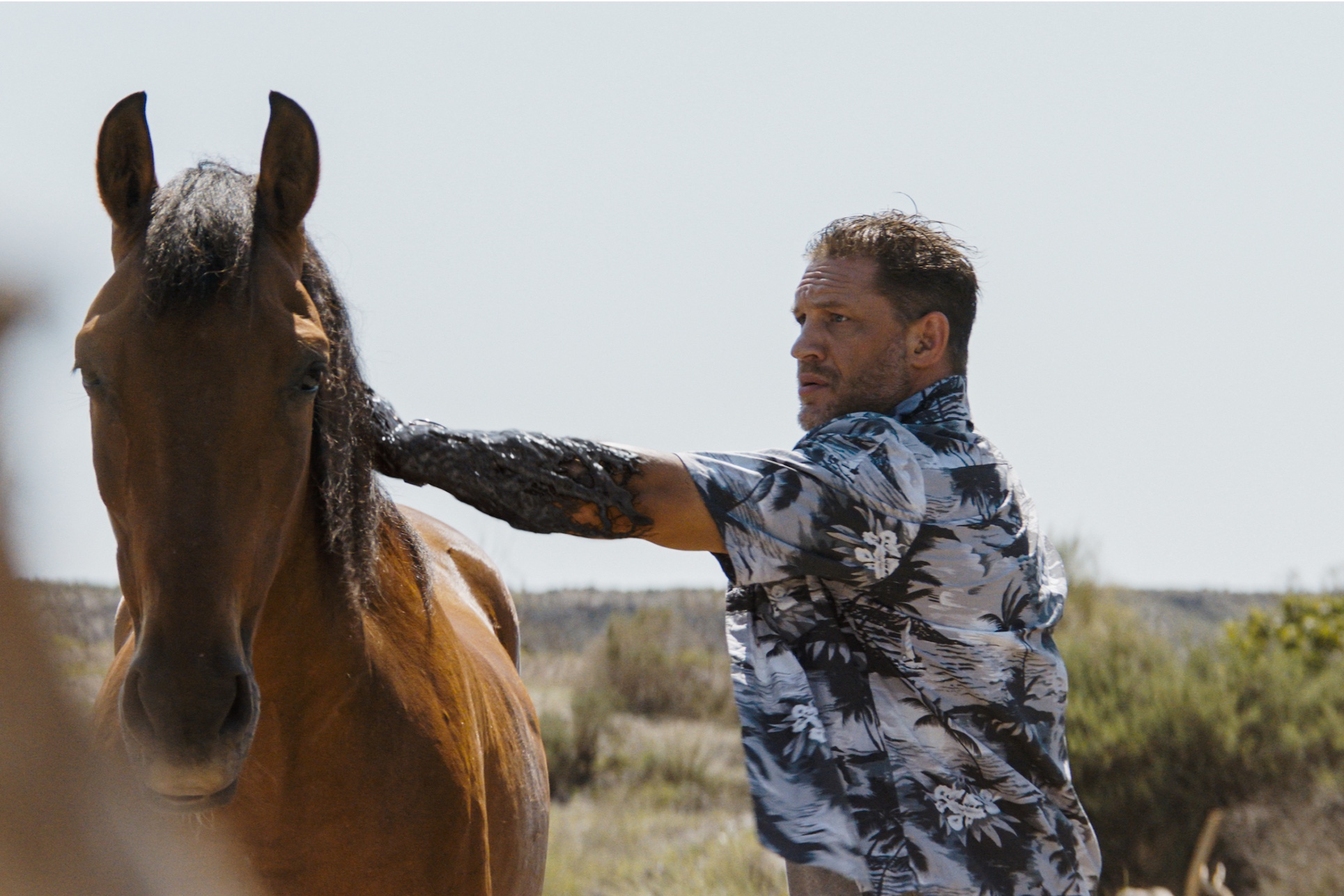 Tom Hardy touches a horse in Venom: The Last Dance.