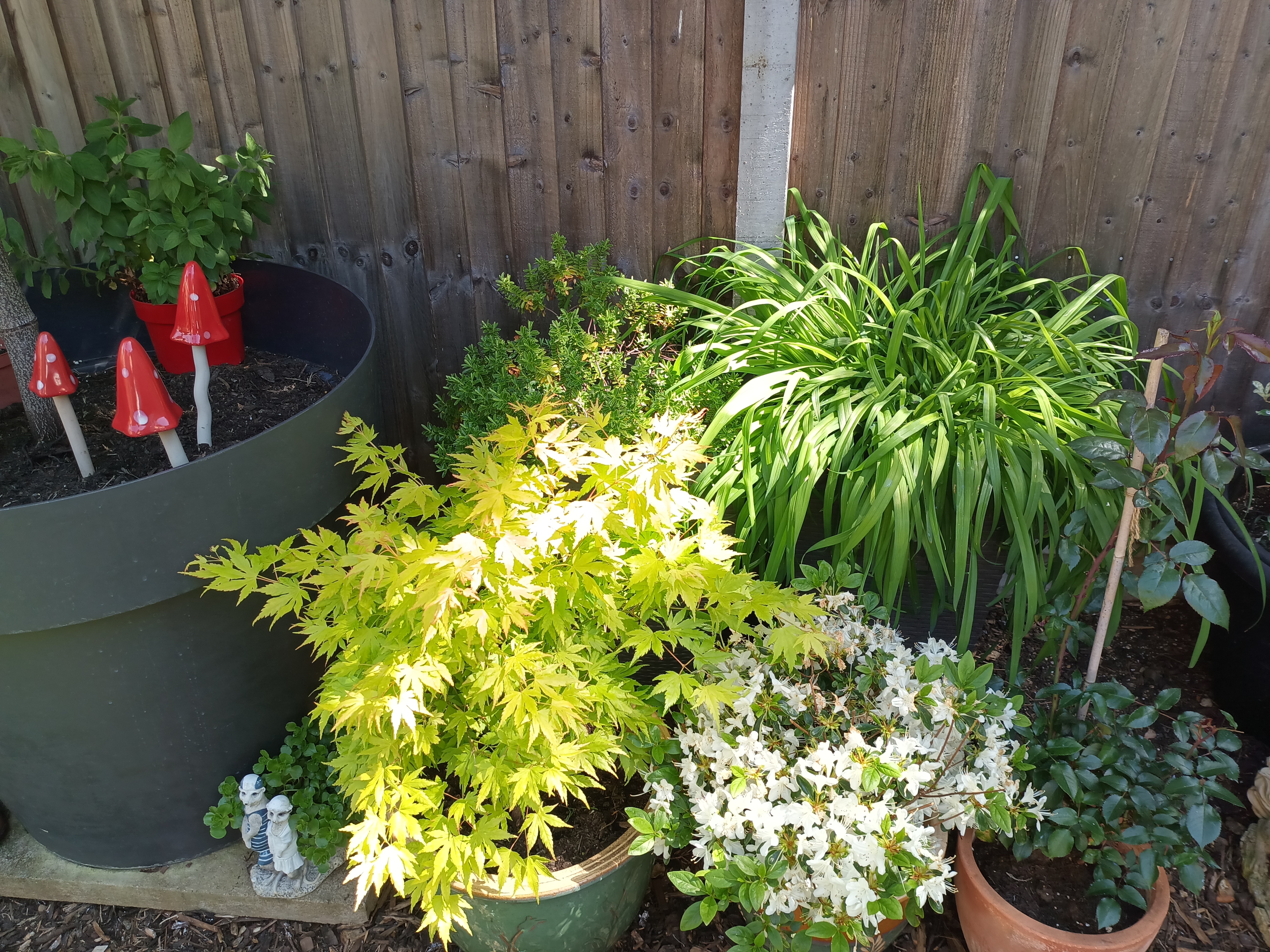 Example images from the Oukitel WP300