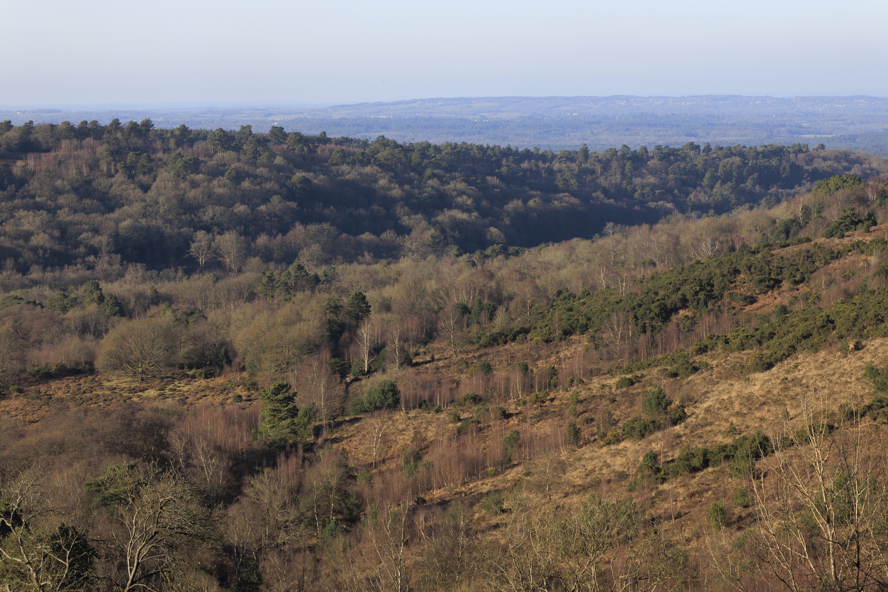 Sigma 56mm F1.4 DC DN Contemporary image gallery: an expansive view of hills and trees