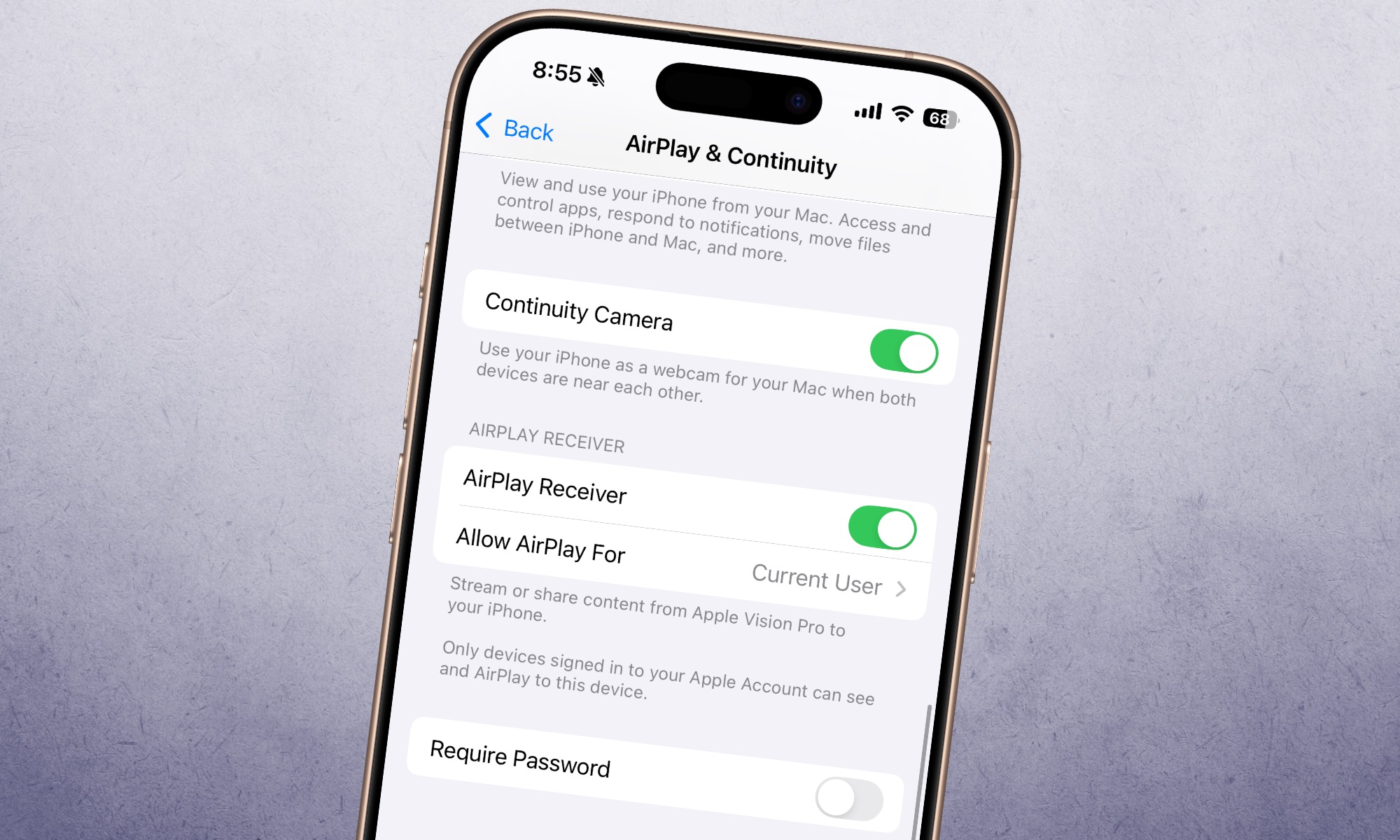 Apple AirPlay settings on an iPhone.
