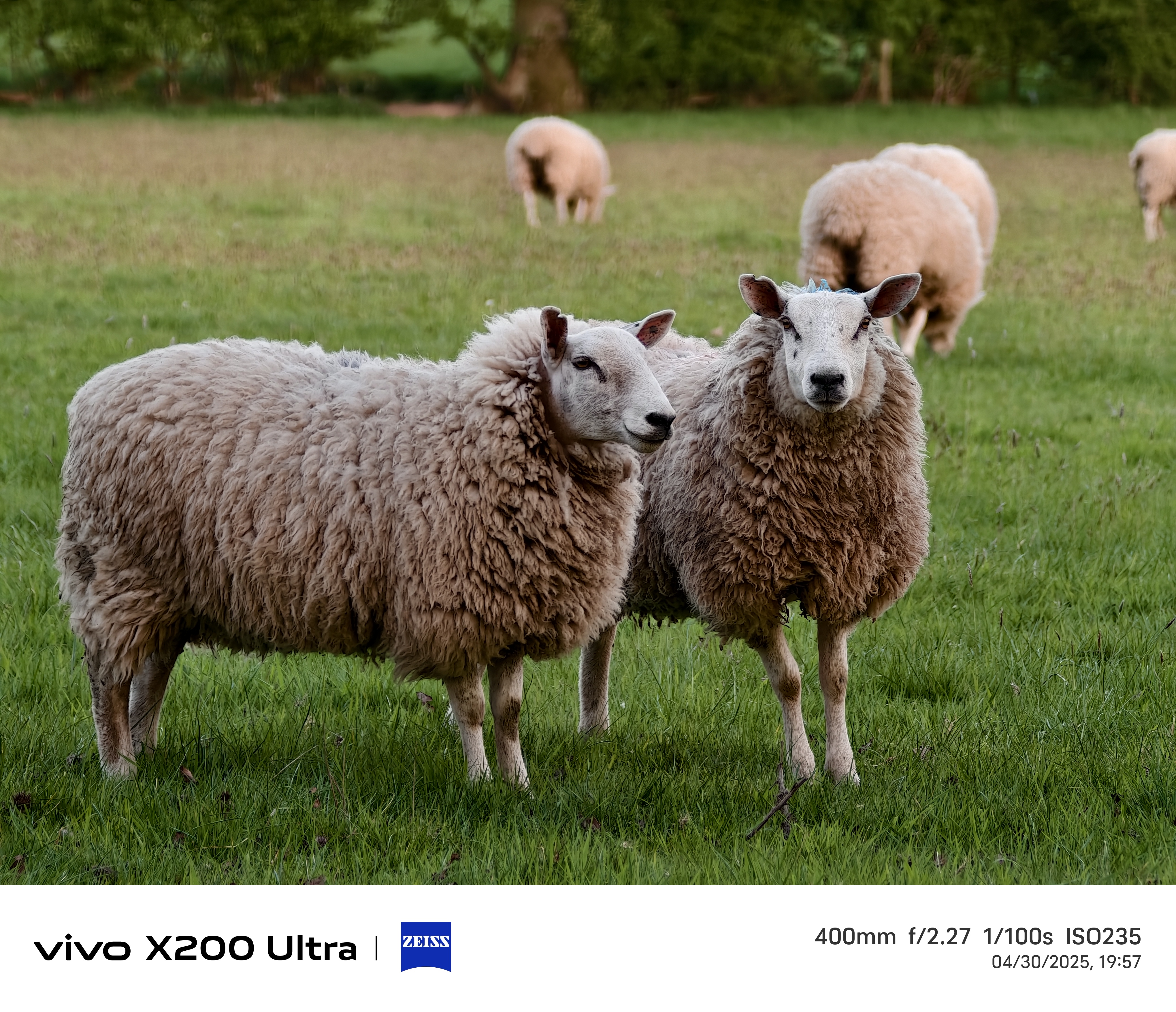 Vivo X200 Ultra camera samples