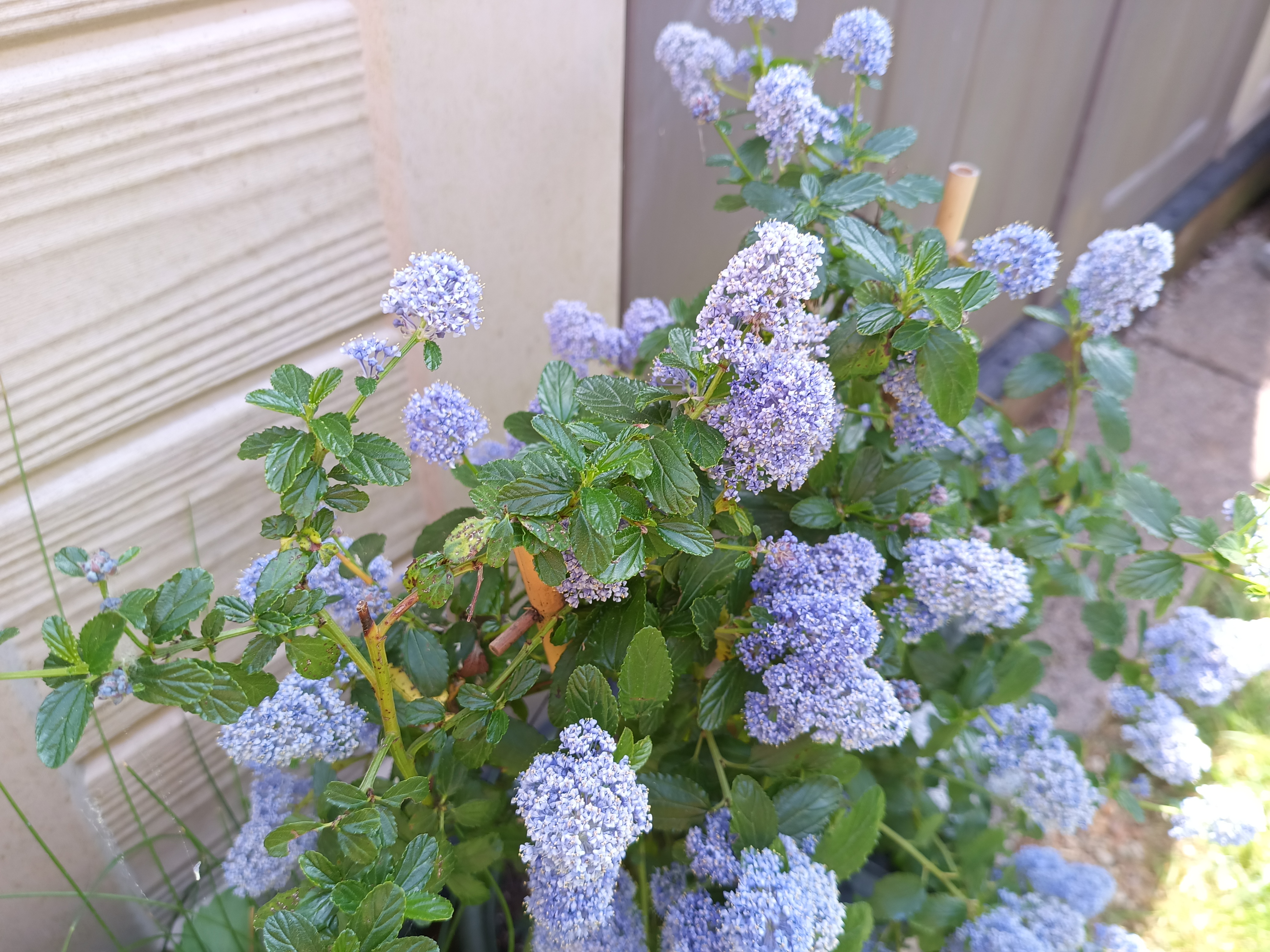 Example images from the Oukitel WP300