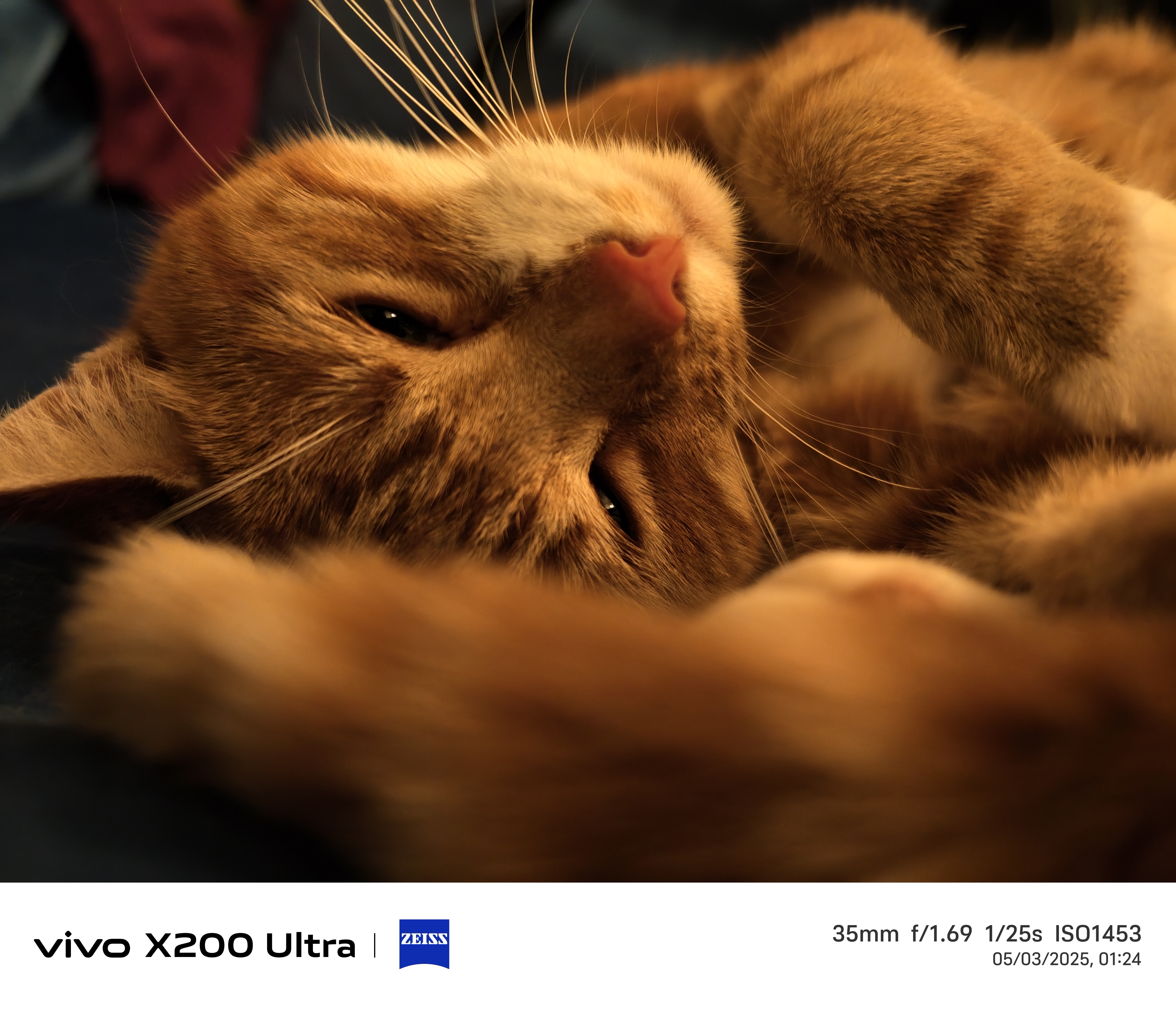 Vivo X200 Ultra camera samples