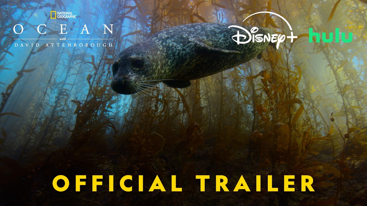 Ocean with David Attenborough | Official Trailer | National Geographic - YouTube