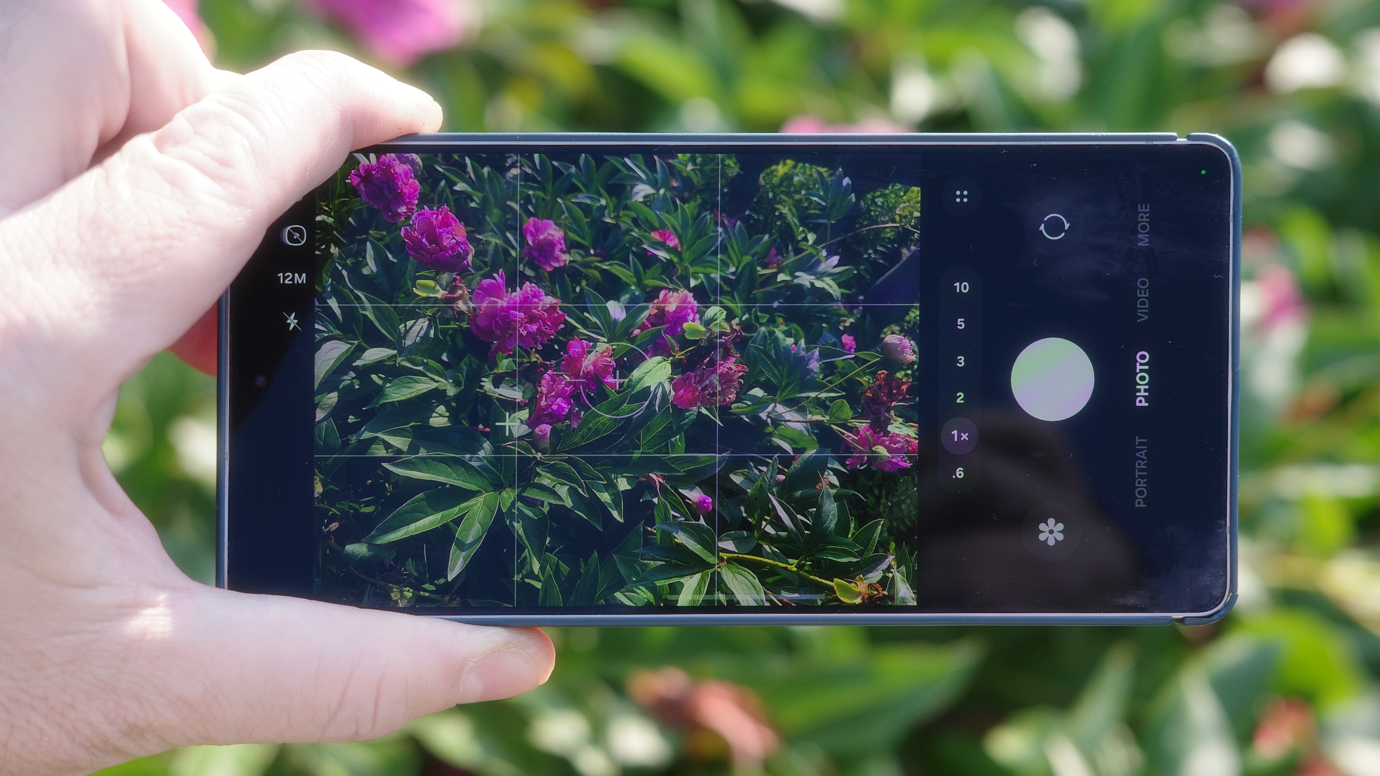 The best camera phones taking photos of red flowers in direct sunlight held individually and side by side