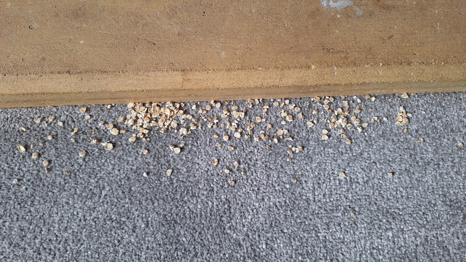 Oats along the side of a fireplace