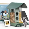 Kiwibit Beako™ Smart Bird...