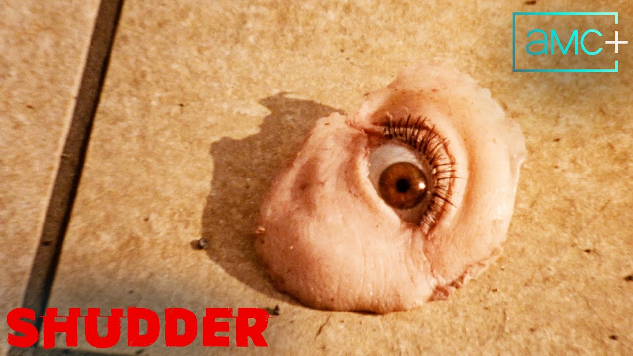 Reflection in a Dead Diamond | Official Trailer | Shudder - YouTube