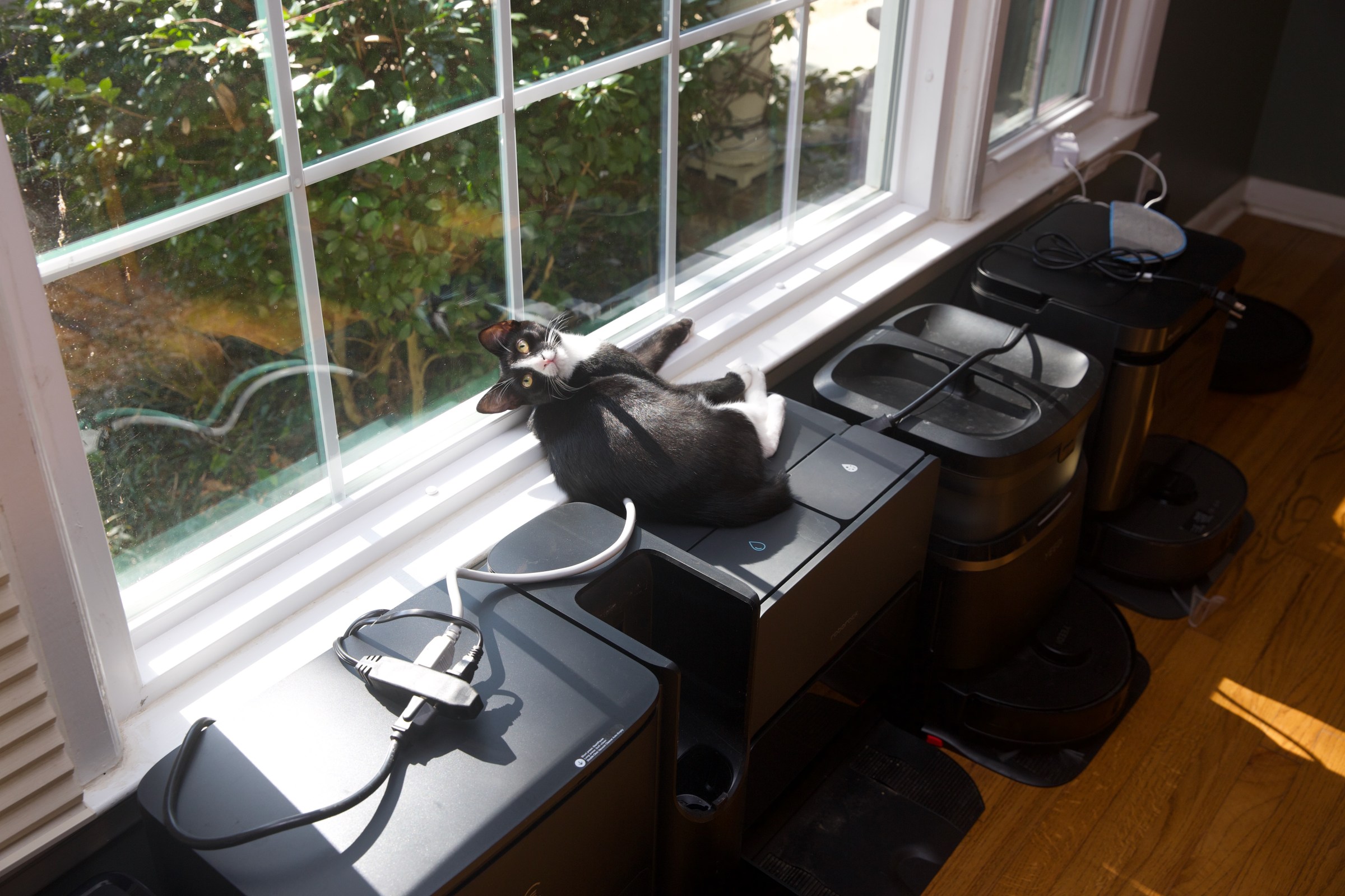 Robot vacuum testing involves all members of my household.