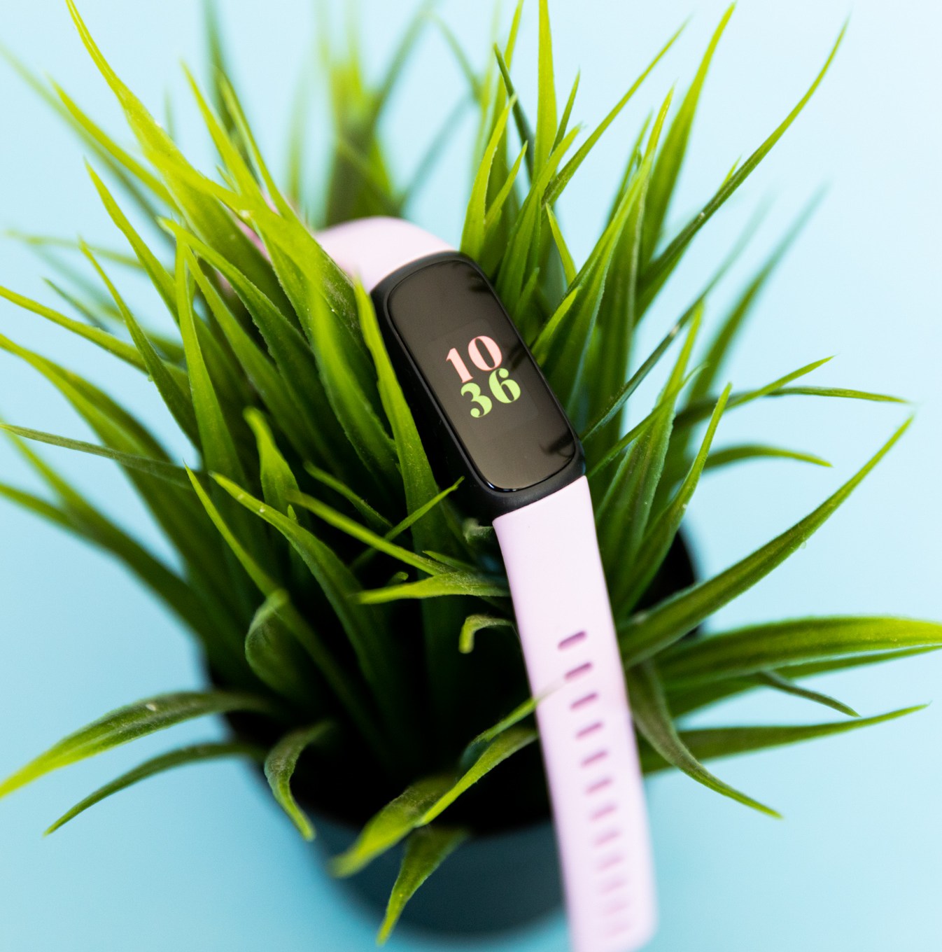 The Fitbit Inspire 3 on top of a plant
