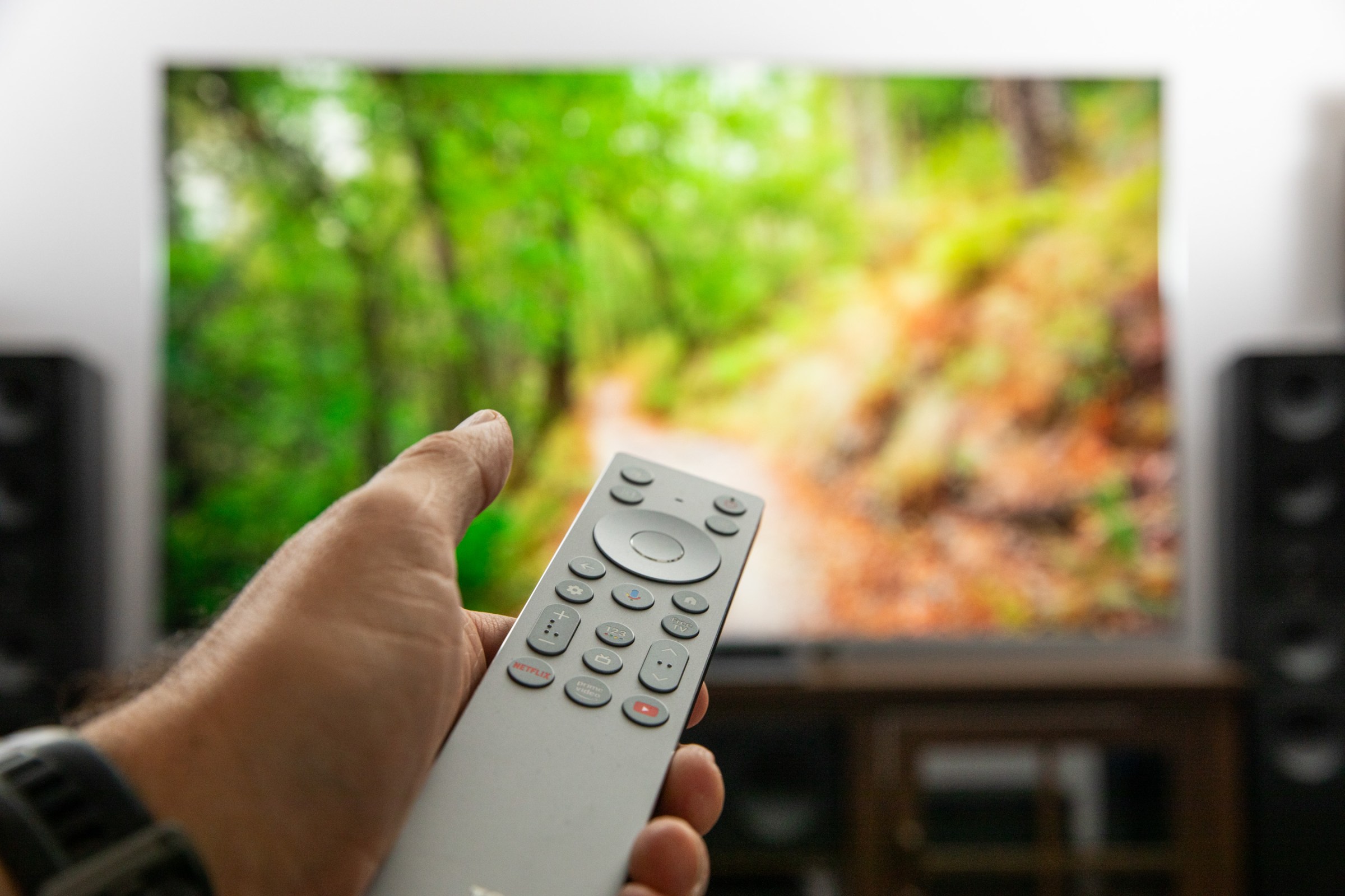 A hand holding a TV remote in front of the TCL QM9K display a path through a forest.