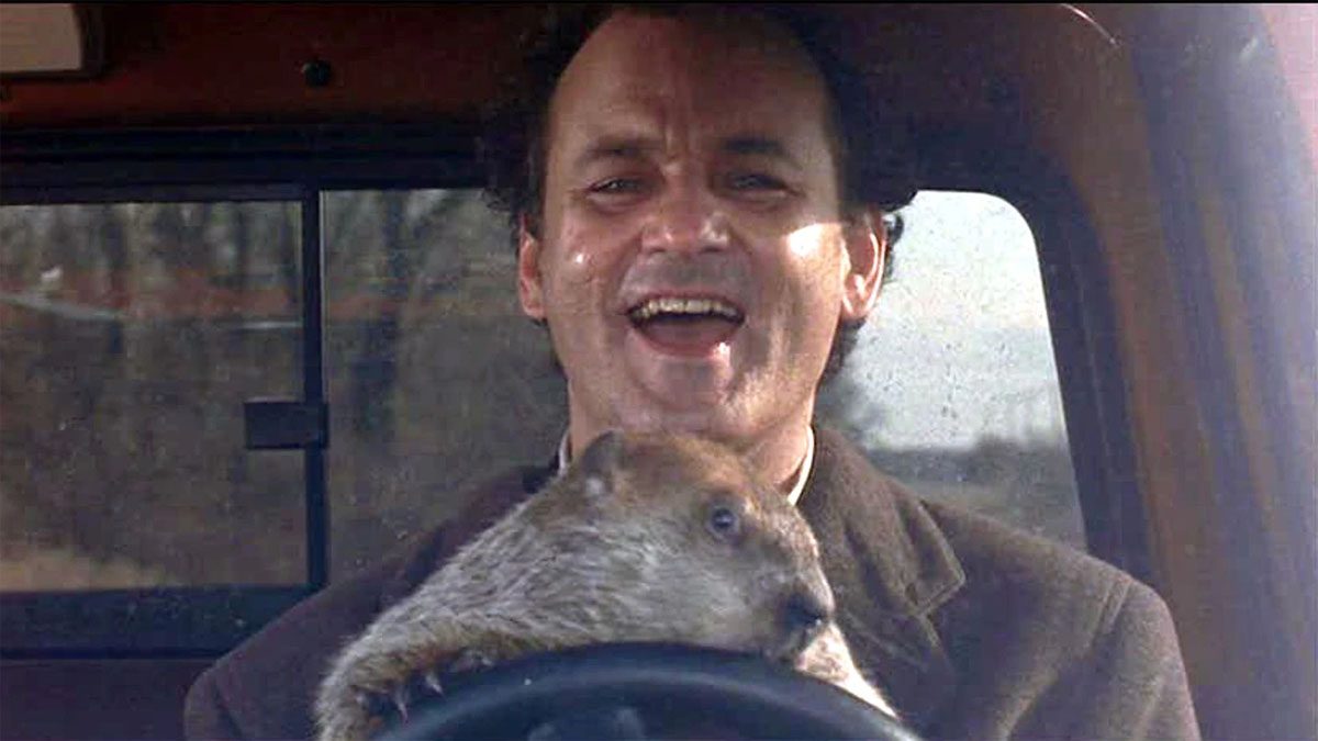 Bill Murray drives a car with a groundhog in Groundhog Day.