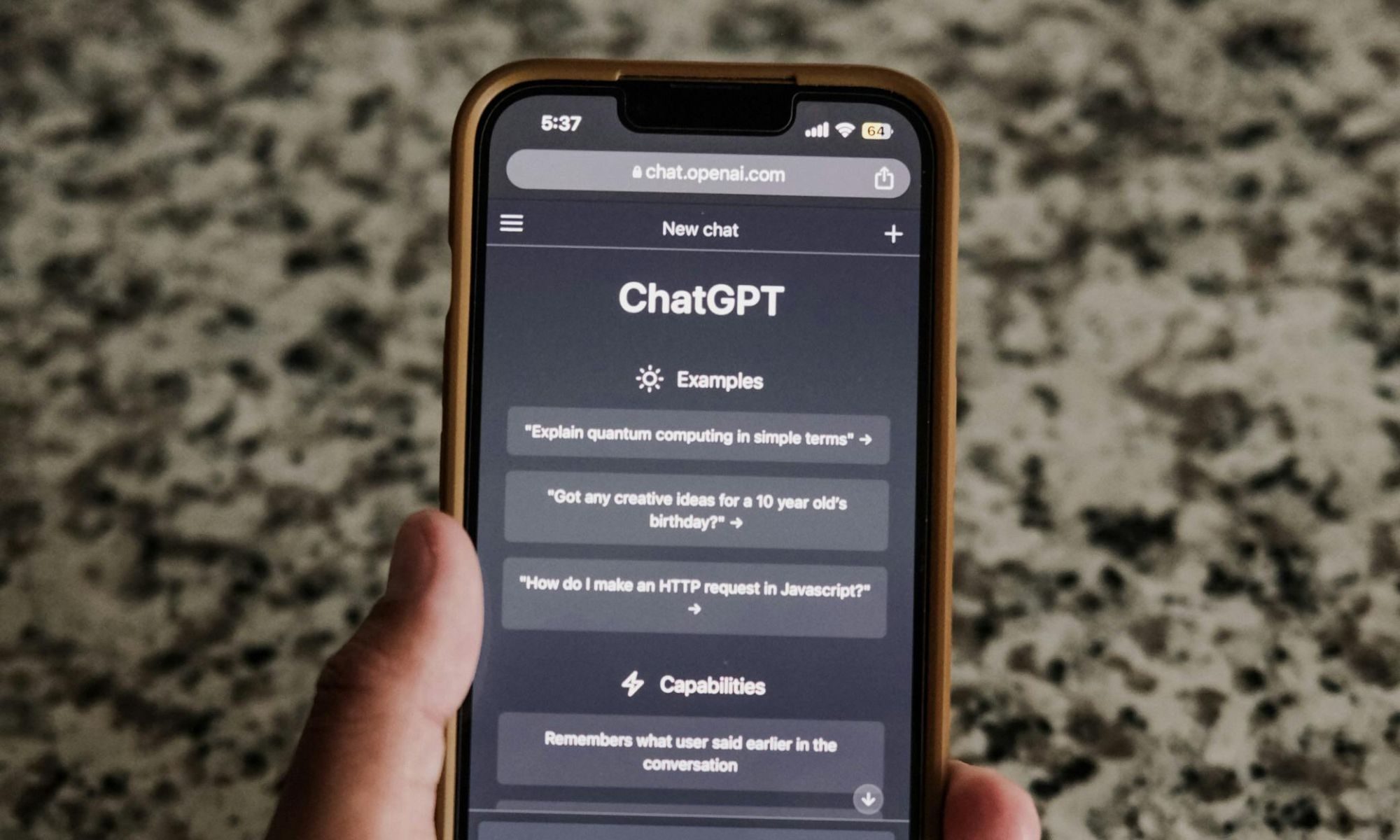 person-using-chatgpt
