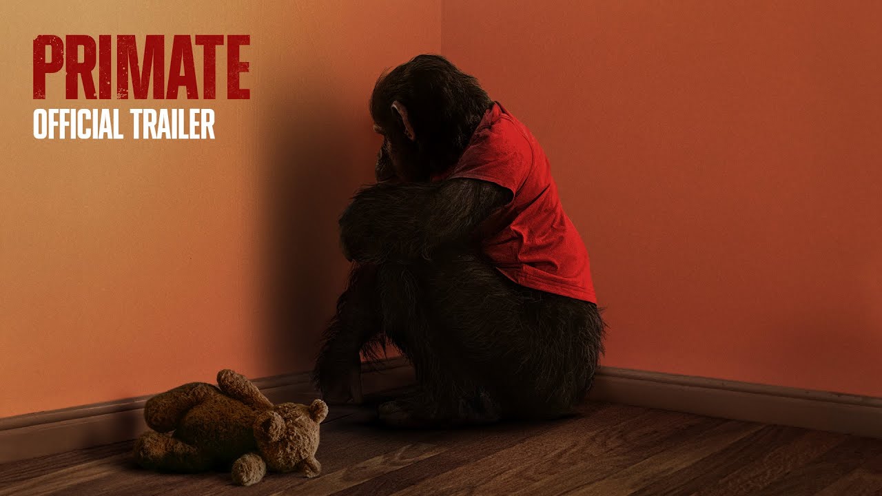 Primate | Official Trailer (2026 Movie) | Paramount Pictures Australia - YouTube
