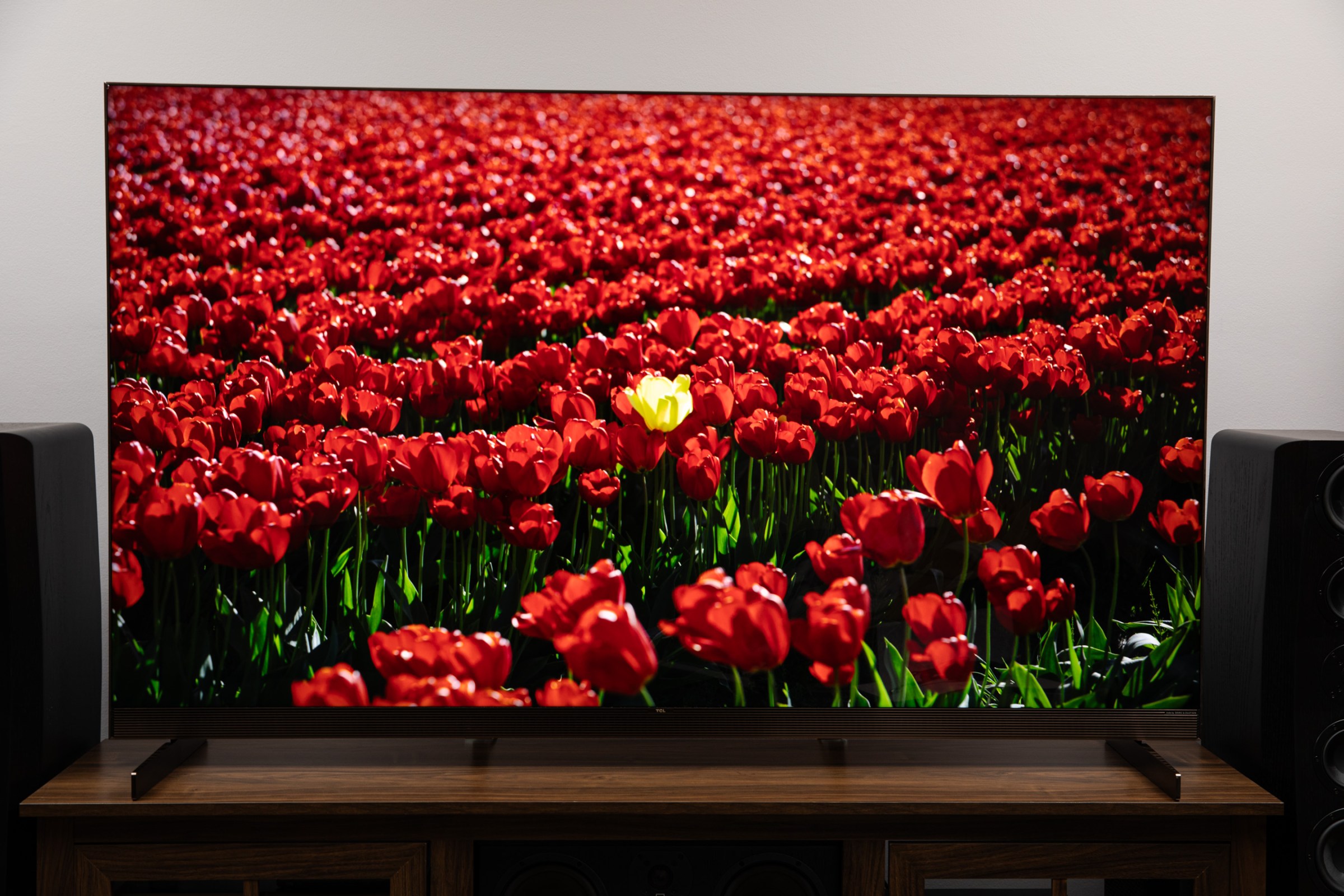 The TCL X11L TV displaying a field of red roses with one single yellow rose in the middle on a dark wood TV stand with SVS speakers on either side.