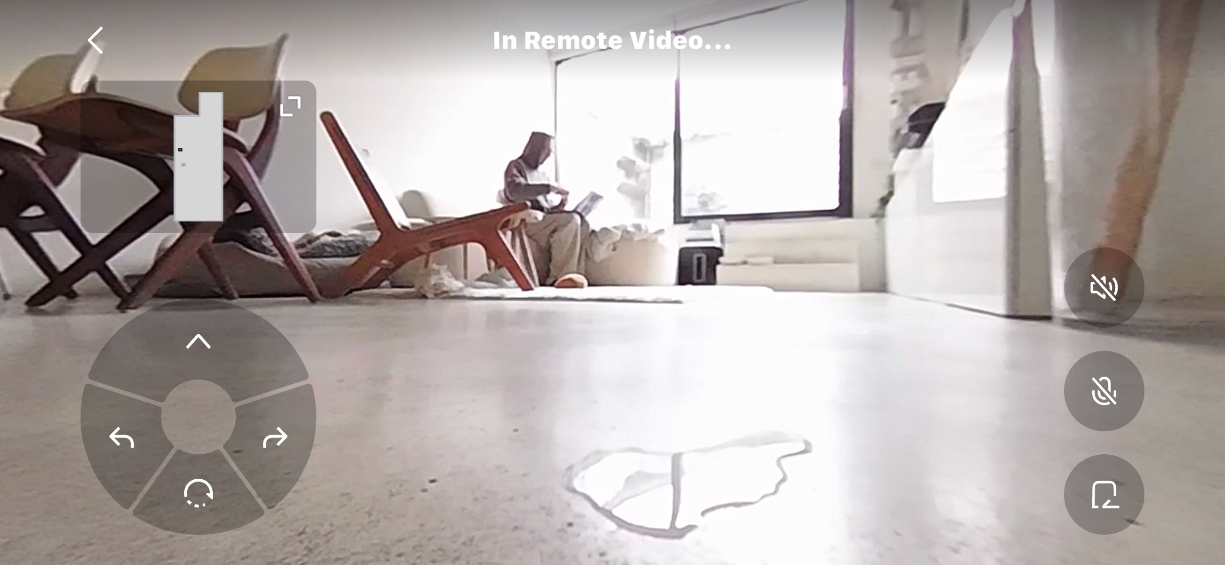 The remote video option provides a wide angle view of the household. I had fun chatting with my dog, but thinking hackers could watch my kids has freaked me out.