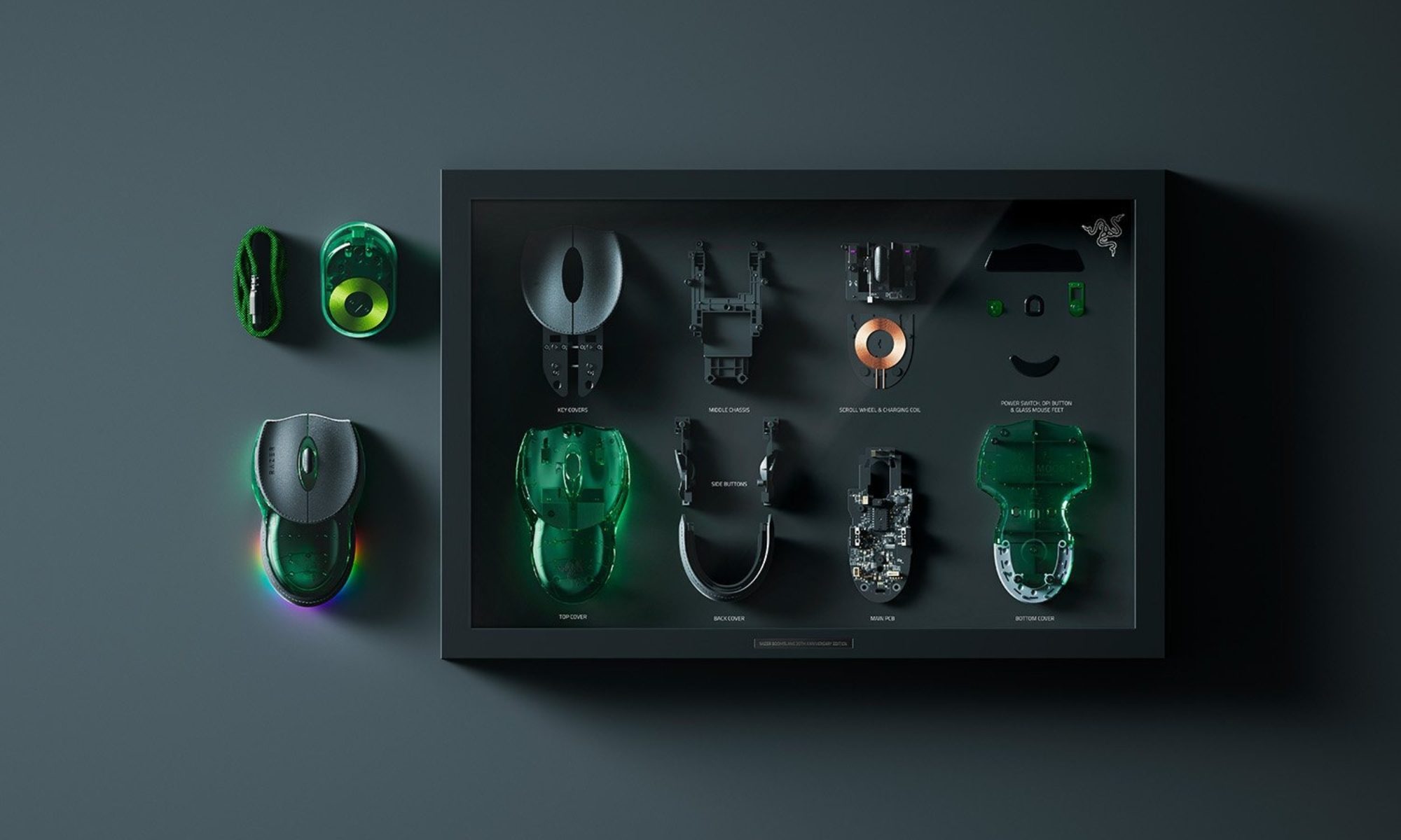 Razer Boomslang 20th Anniversary Edition box contents.