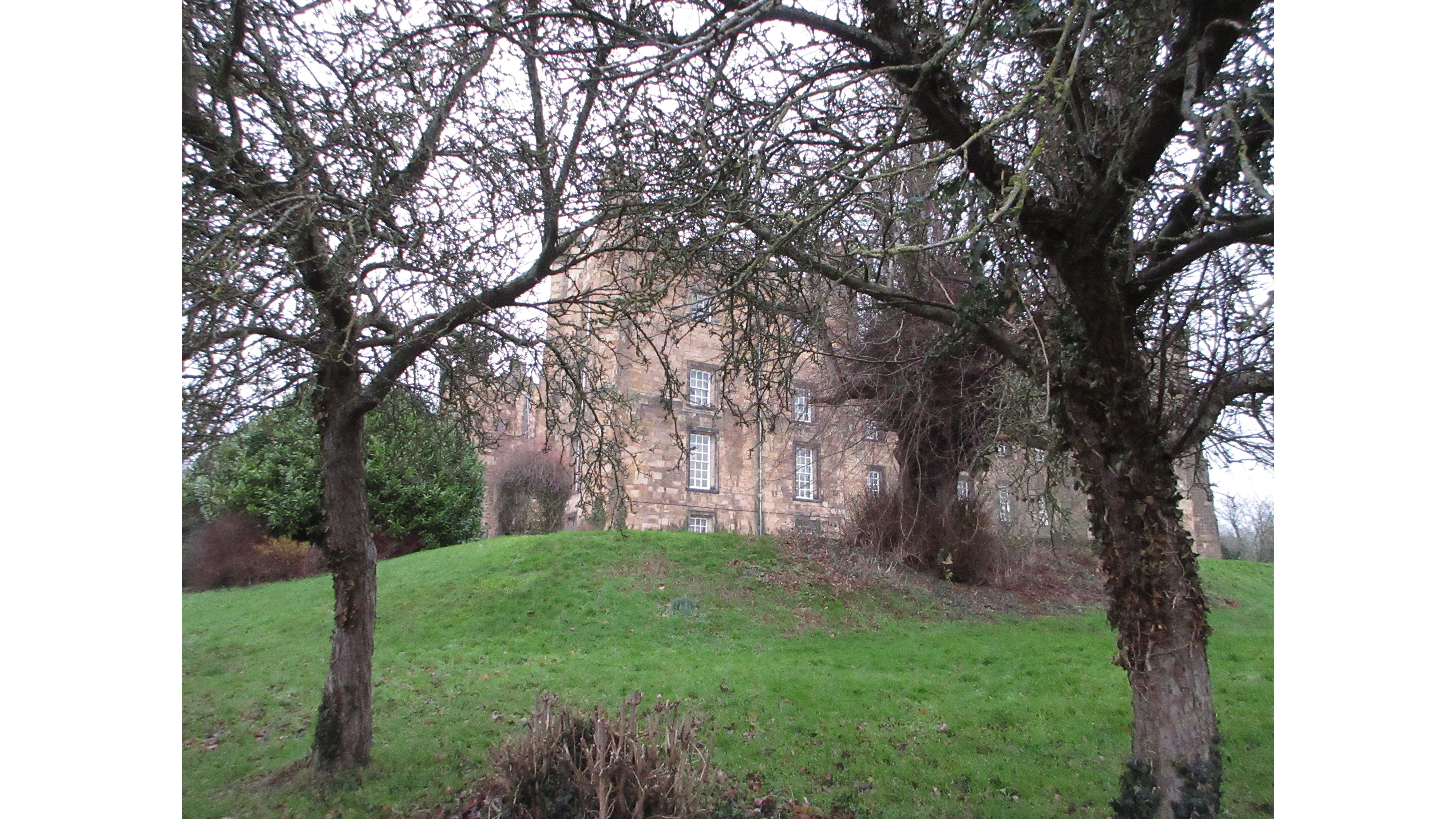 Images takes with the Canon Powershot Ixus 285 HS A