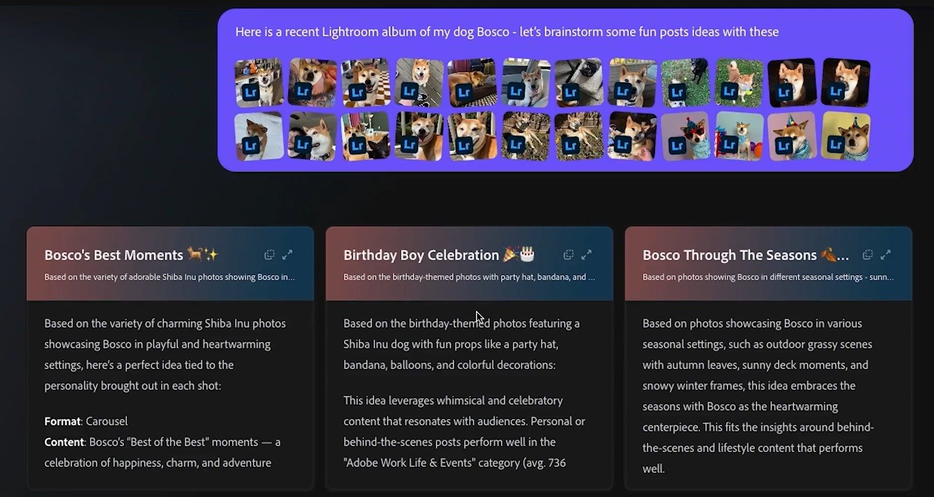 File, Animal, Canine